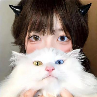 完美妻子的完美复仇计划